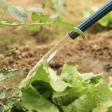 Micro‑Scale Irrigation Programme